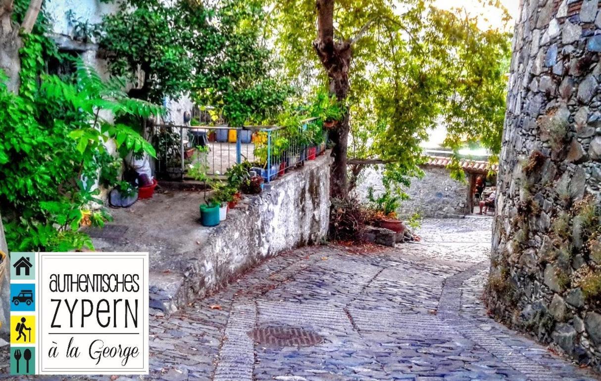 Ferienwohnung Isminis Petroktisto  Palechori Exterior foto